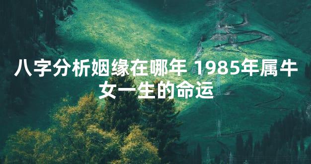 八字分析姻缘在哪年 1985年属牛女一生的命运